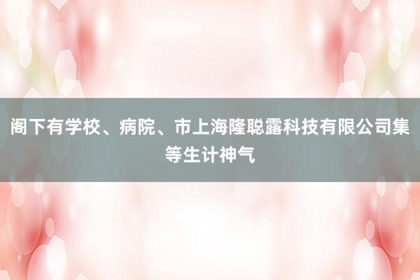 阁下有学校、病院、市上海隆聪露科技有限公司集等生计神气